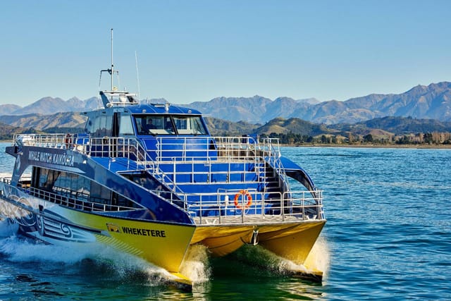 Kaikoura Whale Watch - Photo 1 of 11